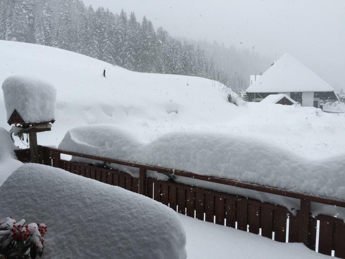 Cafe - Pension Bernreutehof Vöhrenbach Eksteriør billede