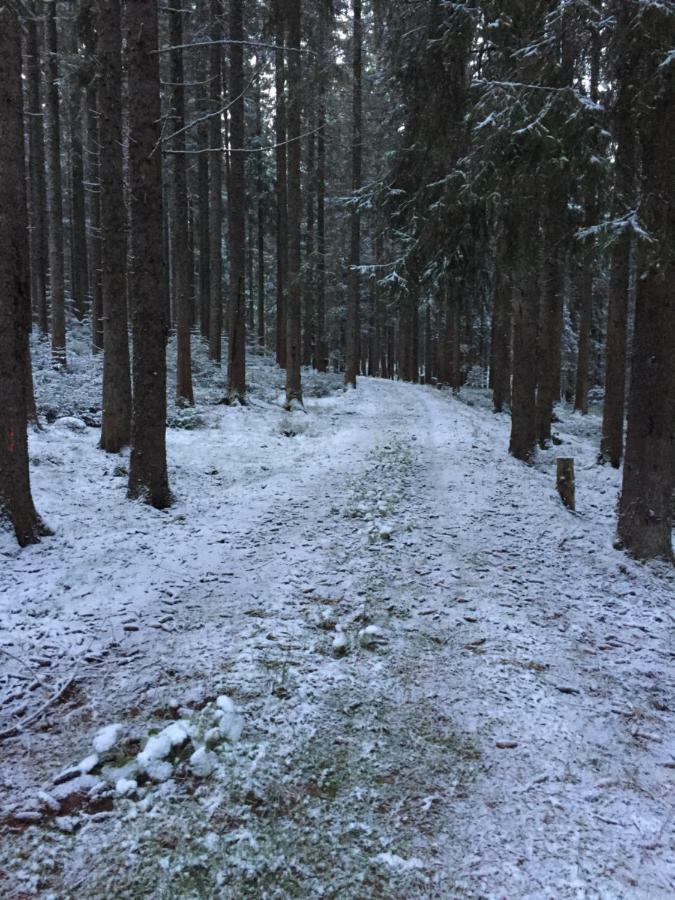 Cafe - Pension Bernreutehof Vöhrenbach Eksteriør billede
